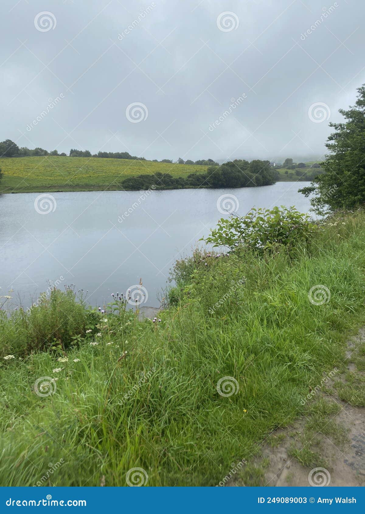 view of white coppice reservoir