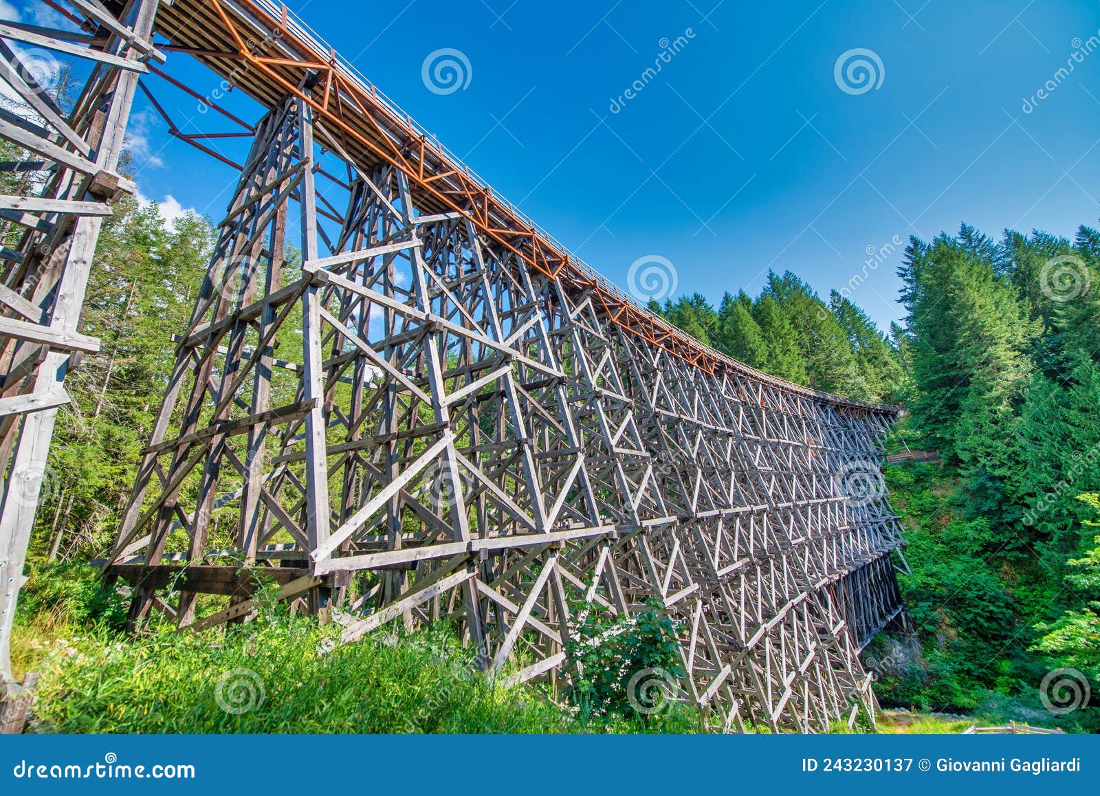 view of restored historic railroad bridge kinsol trestle (koksilah river trestle) made of wooden boards - vancouver island