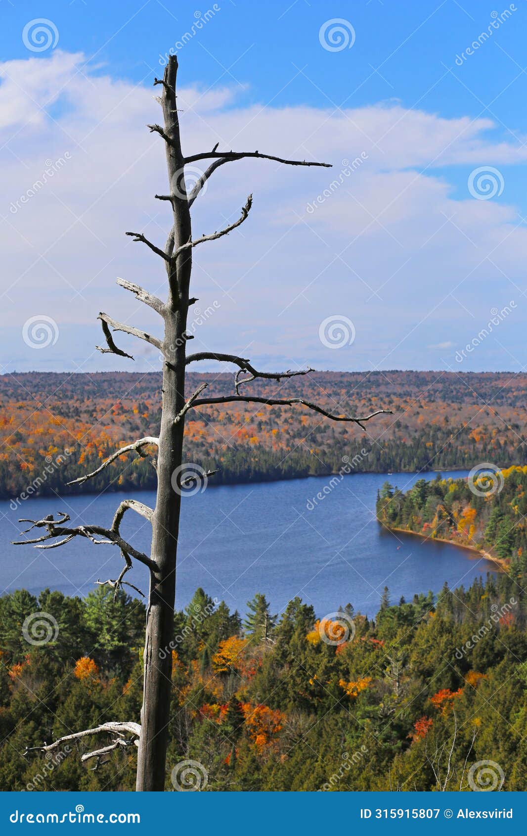 view of rock lake in algonquin park, ontario, canada