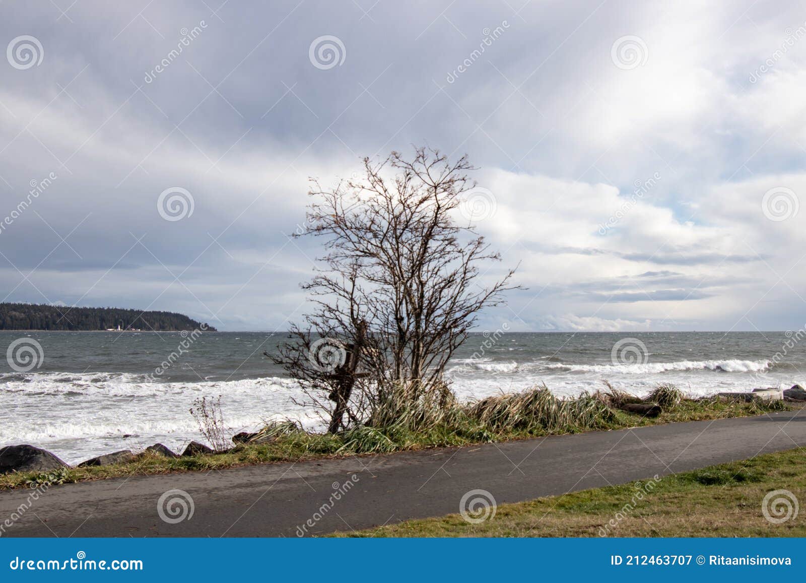 view of rotary beach park north path in campbell river