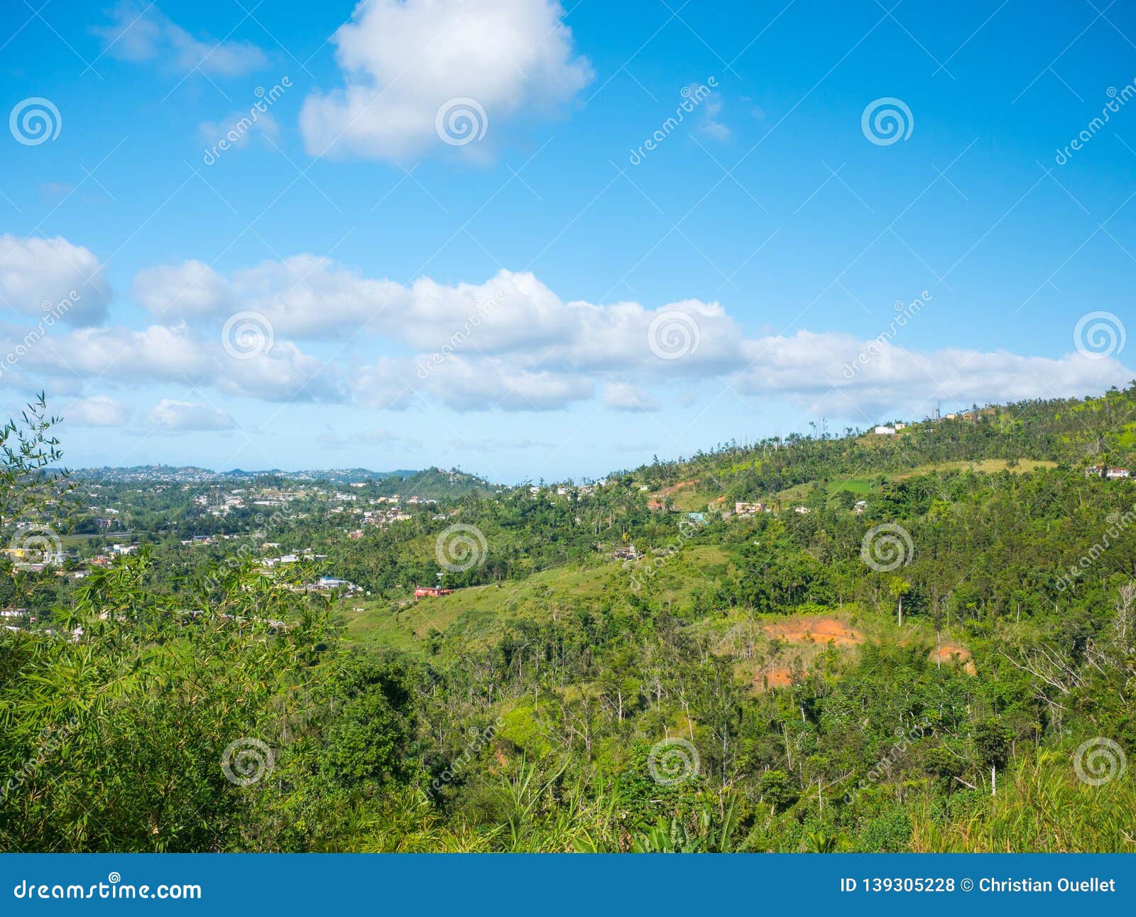 view from ruta panoramica road in puerto rico. usa. this road is little used by tourists but allows to leave the tourist circuit