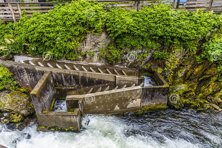 A View of a Salmon Ladder Near the Creek Area of Ketchikan, Alaska