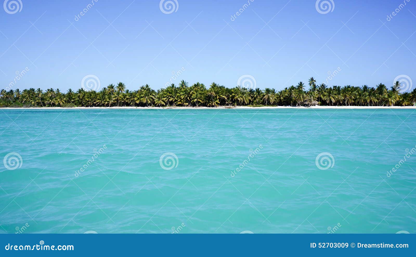 view from sea on beach of isla saona