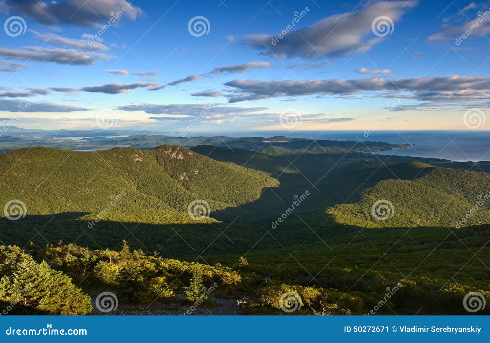 view of the sea from the mountains sikhote-alin.