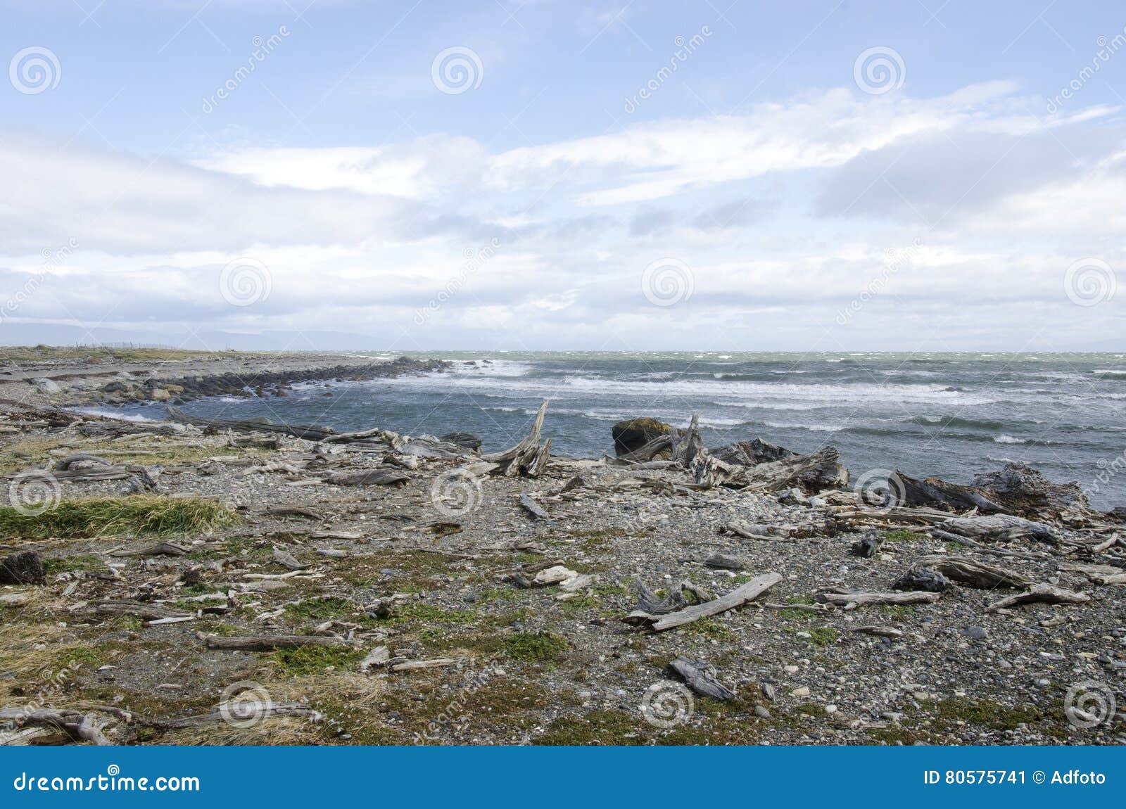 view of seno otway - patagonia - chile