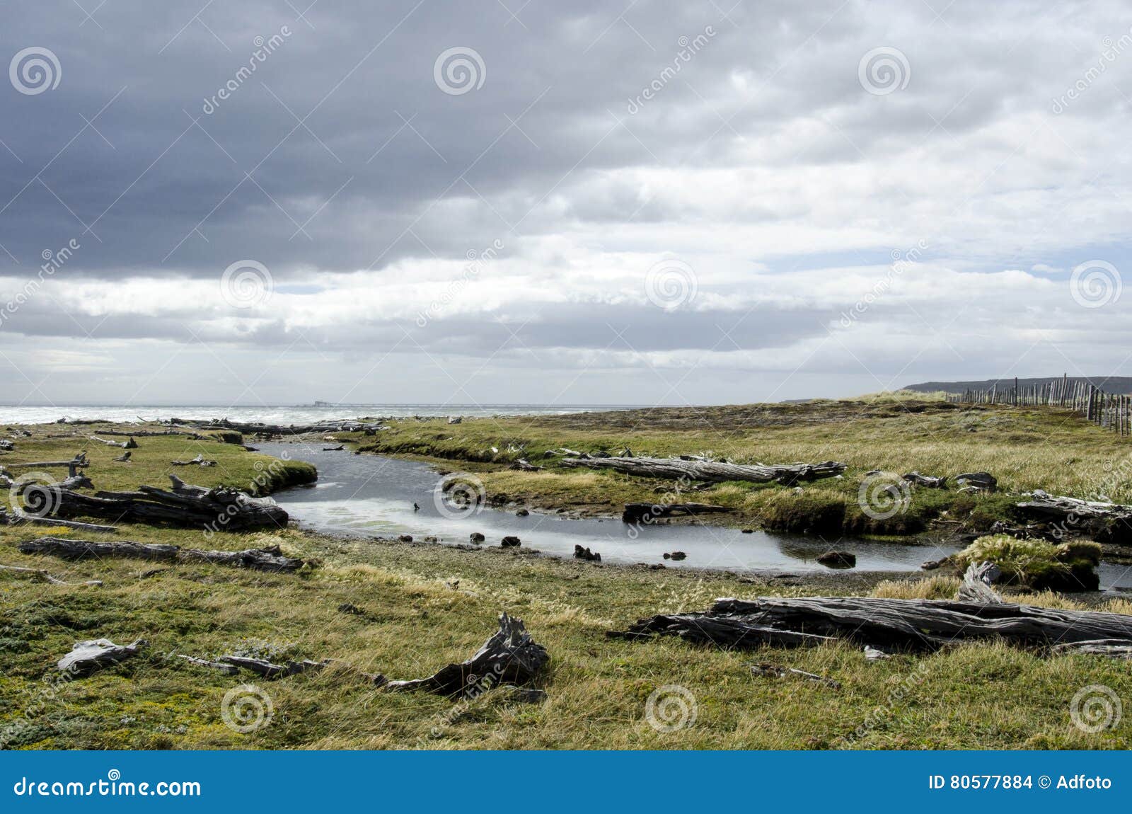 view of seno otway - patagonia - chile