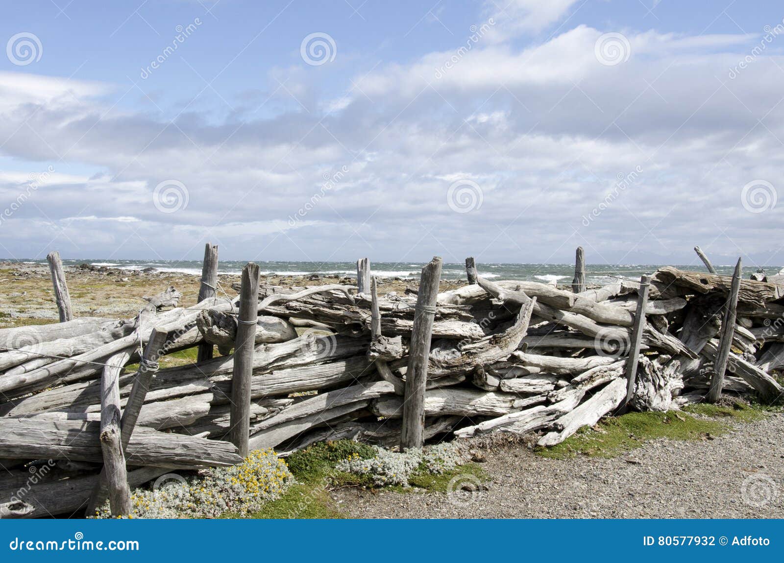 view of seno otway - patagonia - chile