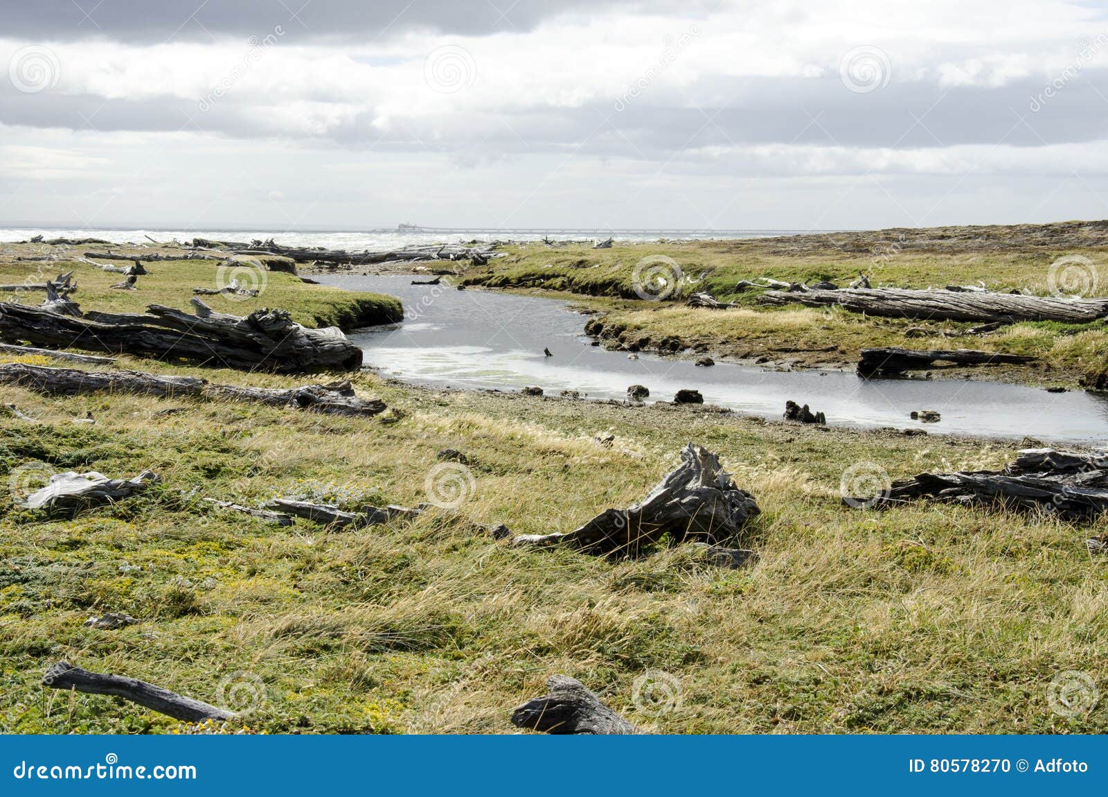 view of seno otway - patagonia - chile