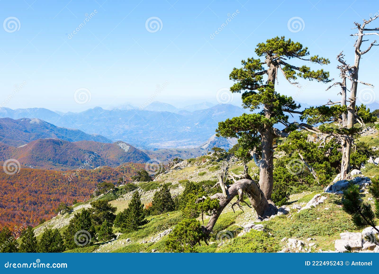 view from serra di crispo, pollino national park,  southern apennine mountains, italy