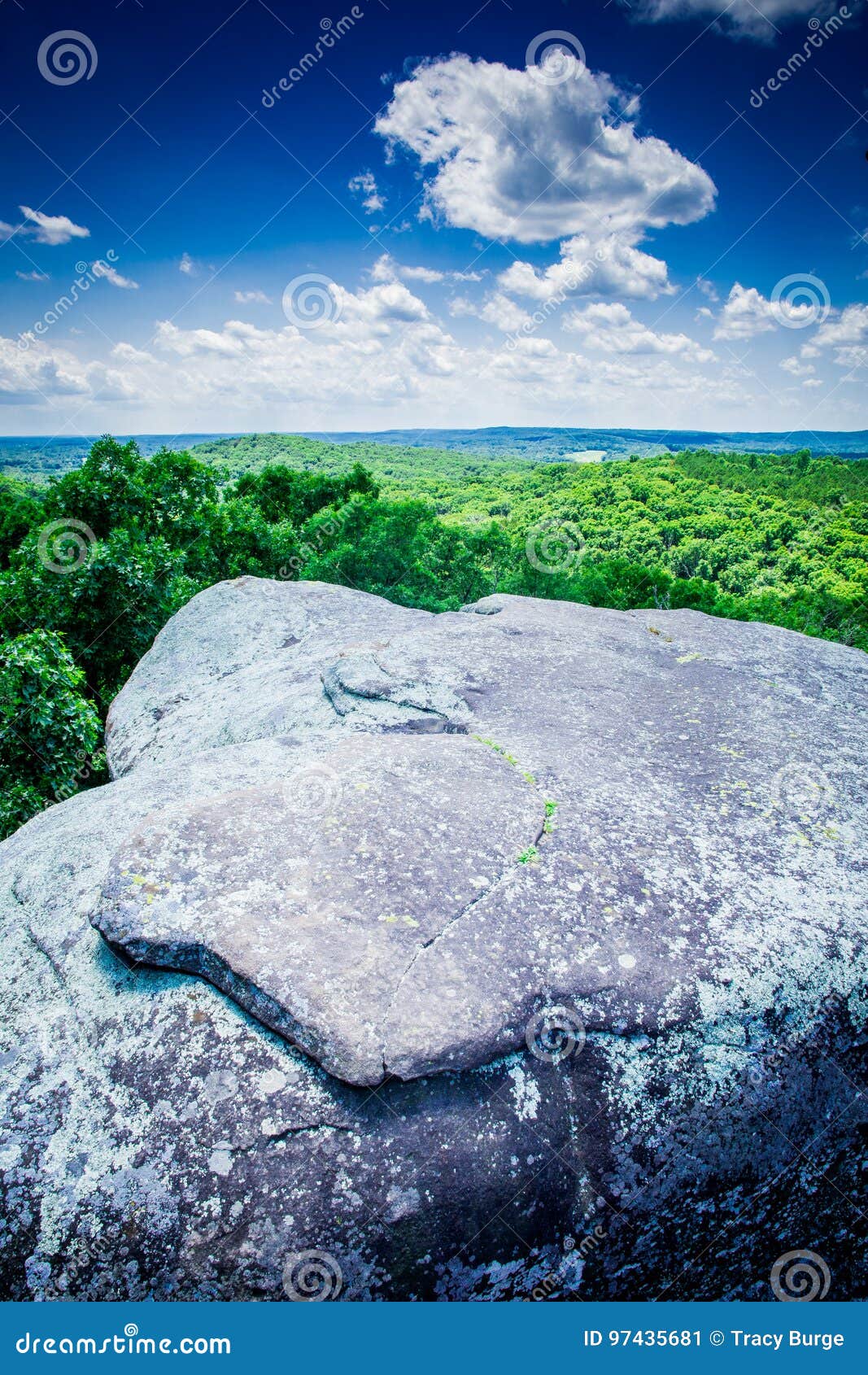 A View Of The Shawnee National Forest From Illinois A Garden Of