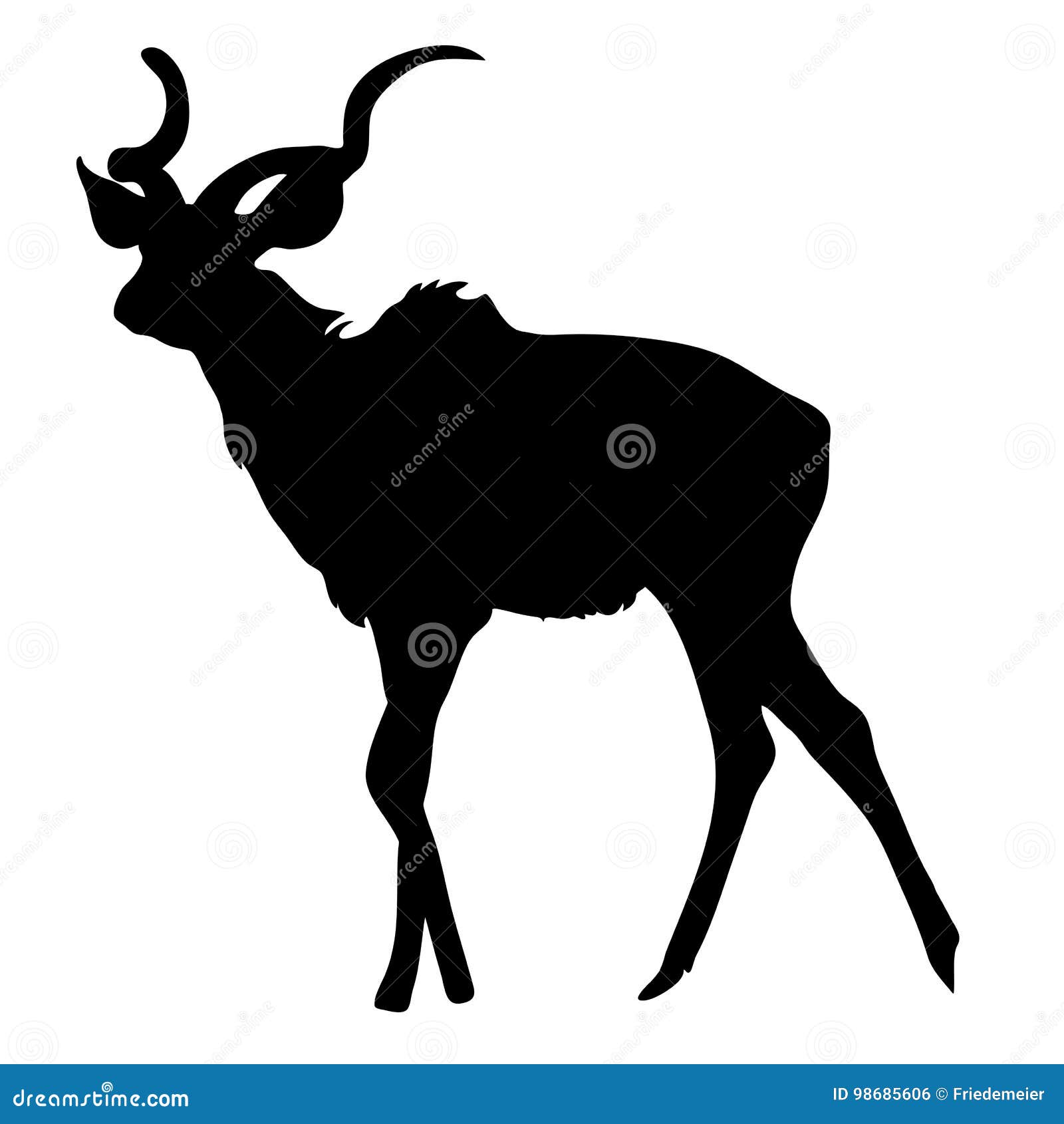 view on the silhouette of a greater kudu