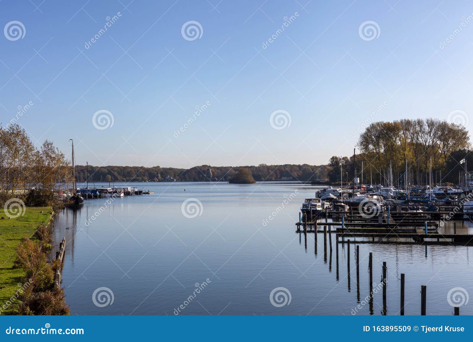 on the Skyline of Rotterdam As Seen from the Kralingse Bos Stock Image - Image of landmark, europe:
