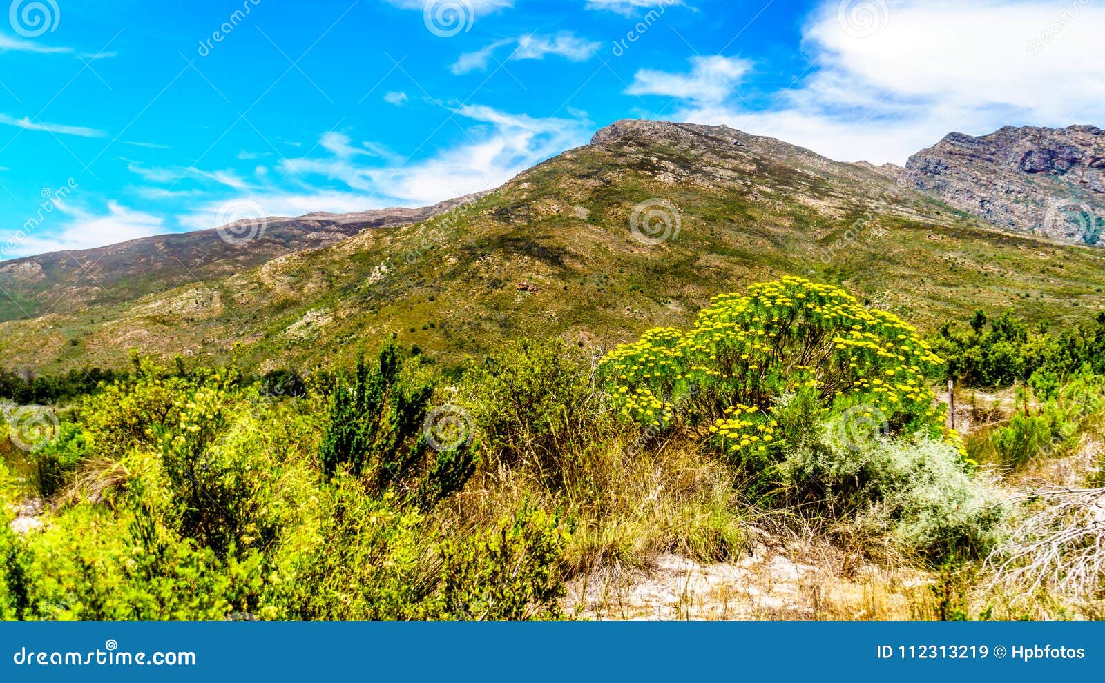 View of the Slanghoekberge Mountains from the Scenic Bainskloof Pass ...