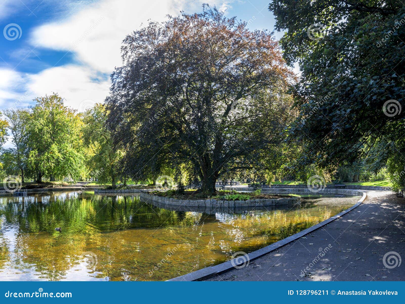 A View of a Small Shallow Pond in the Centre of Duthie Park, Aberdeen ...