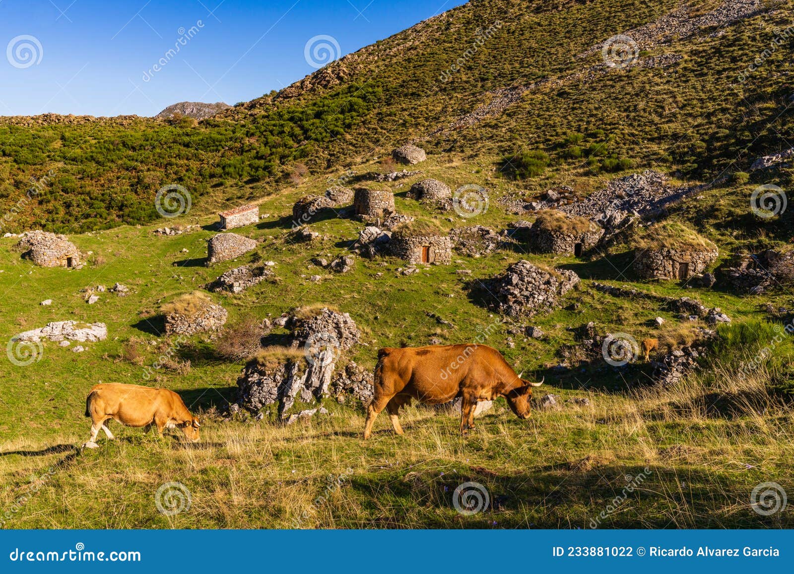 view of the sousas valley in the somiedo natural park in asturias.