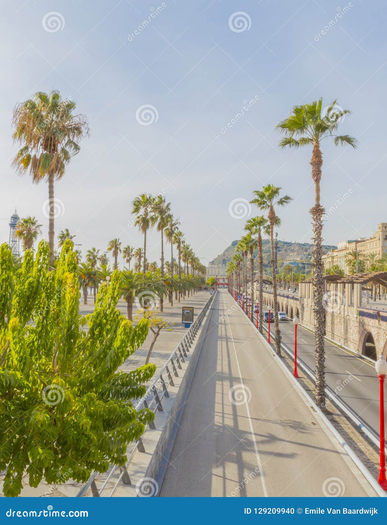 view of the street ronda del litoral with palm trees