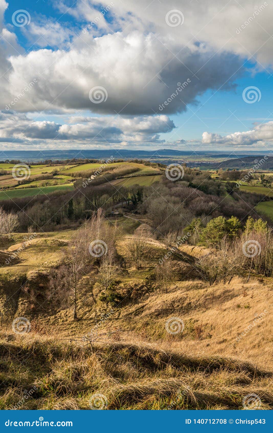 view from the summit of painswick beacon