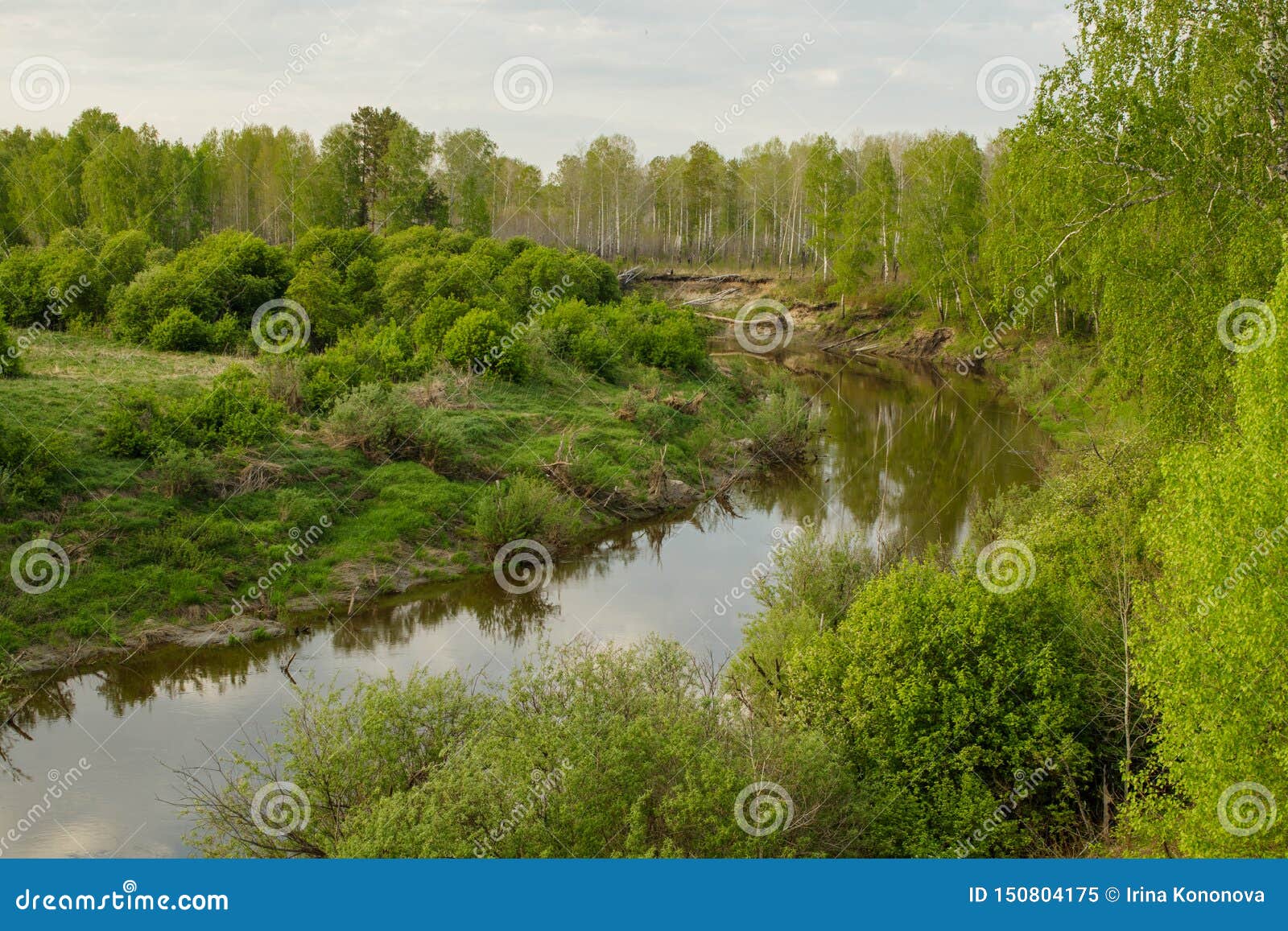View Of The Taiga Siberian River Vagai Spring Landscape Stock Image