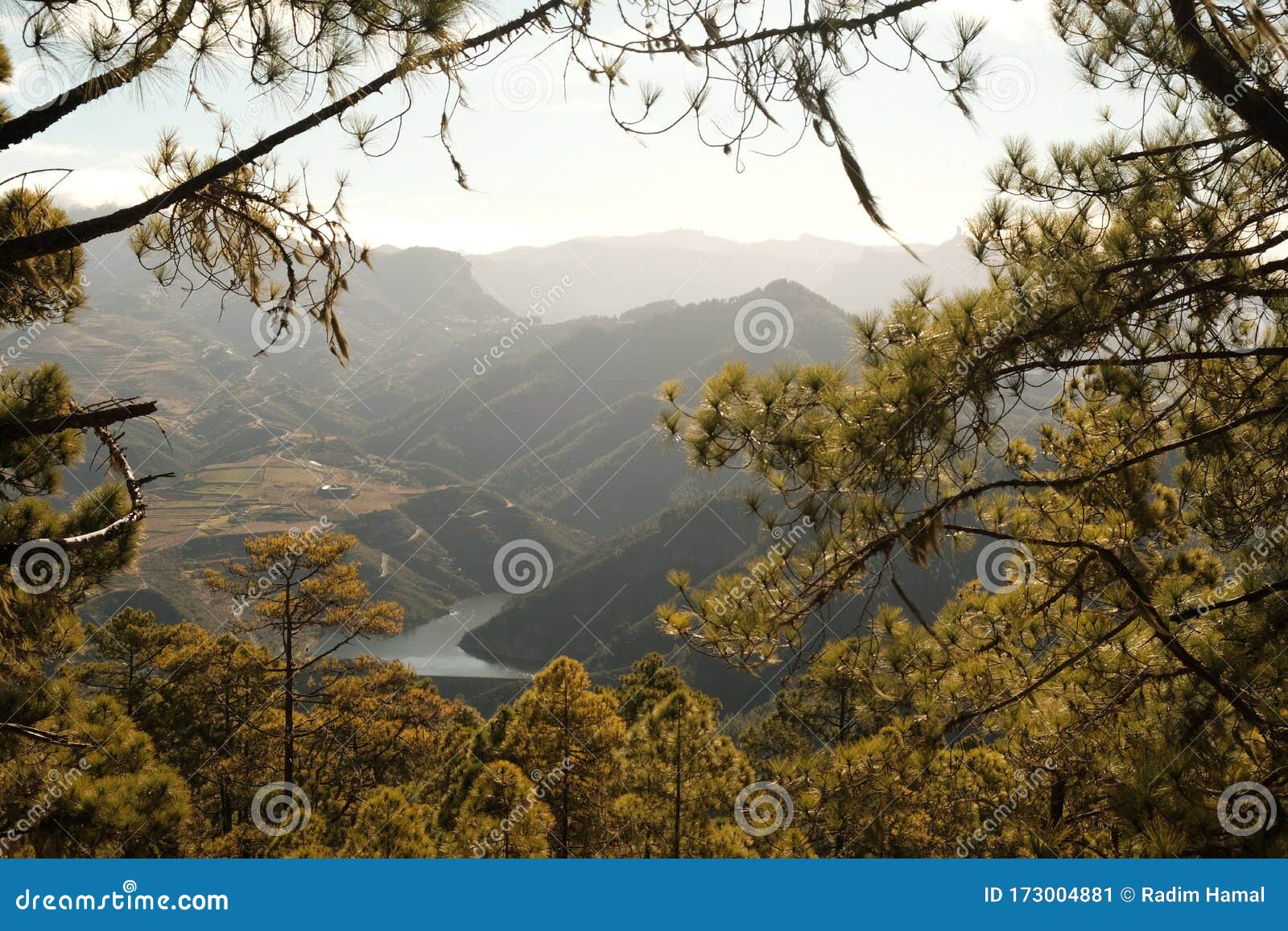 view from tamadaba national park, grand canaria