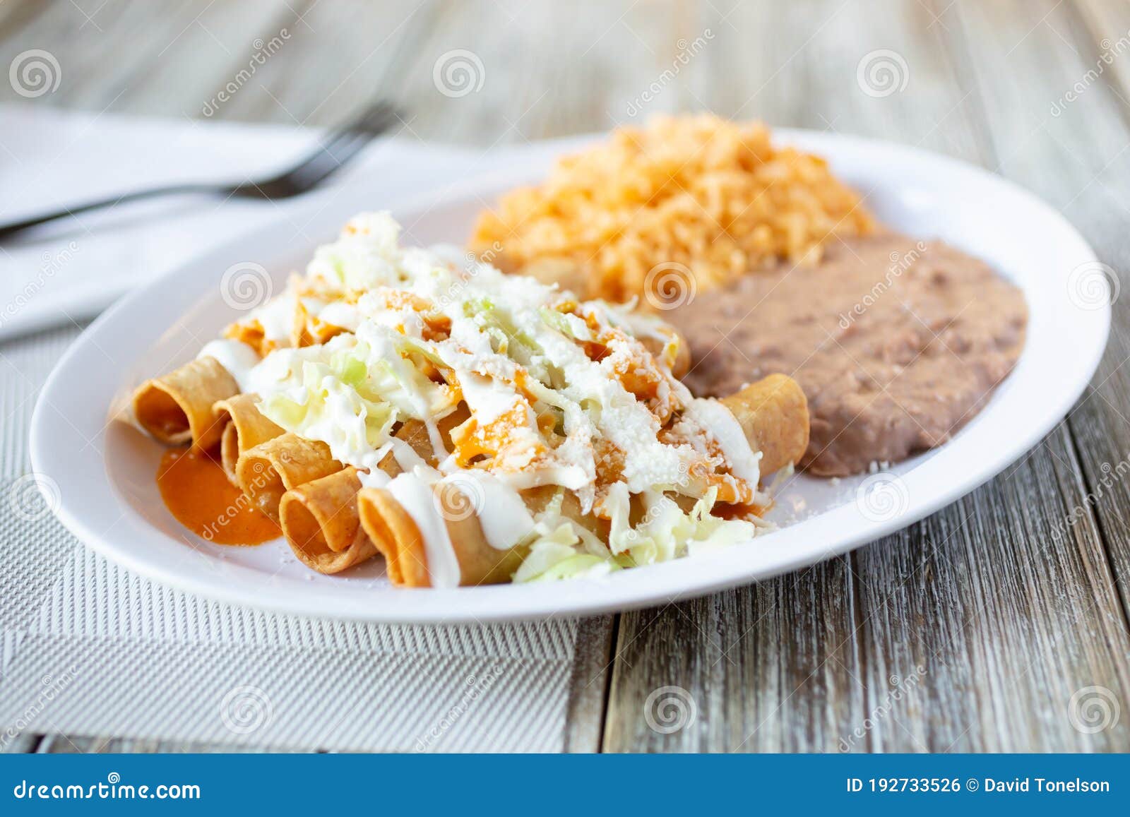 Taquitos plate stock photo. Image of sauce, shop, background 192733526