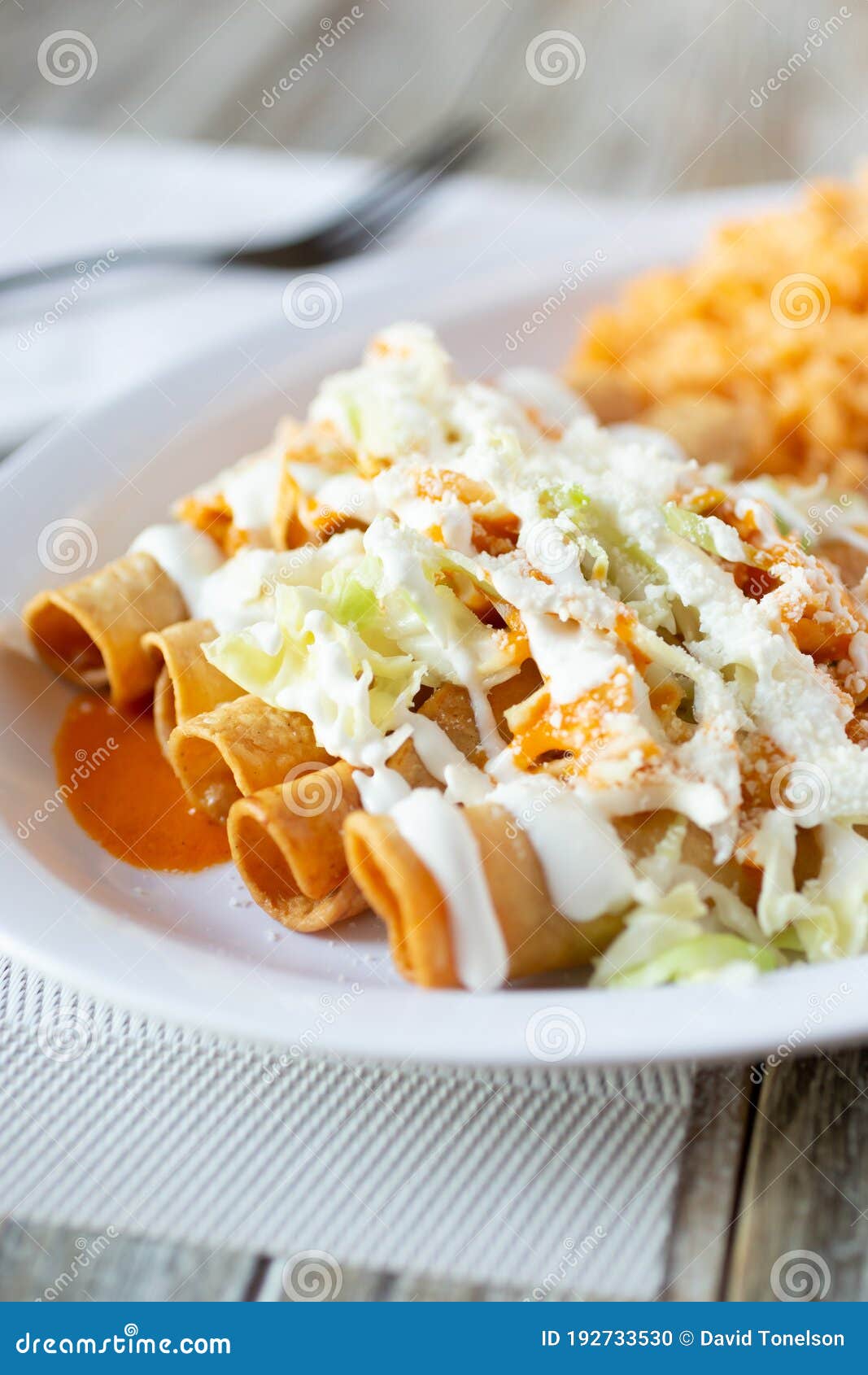 Taquitos plate stock photo. Image of kitchen, product 192733530