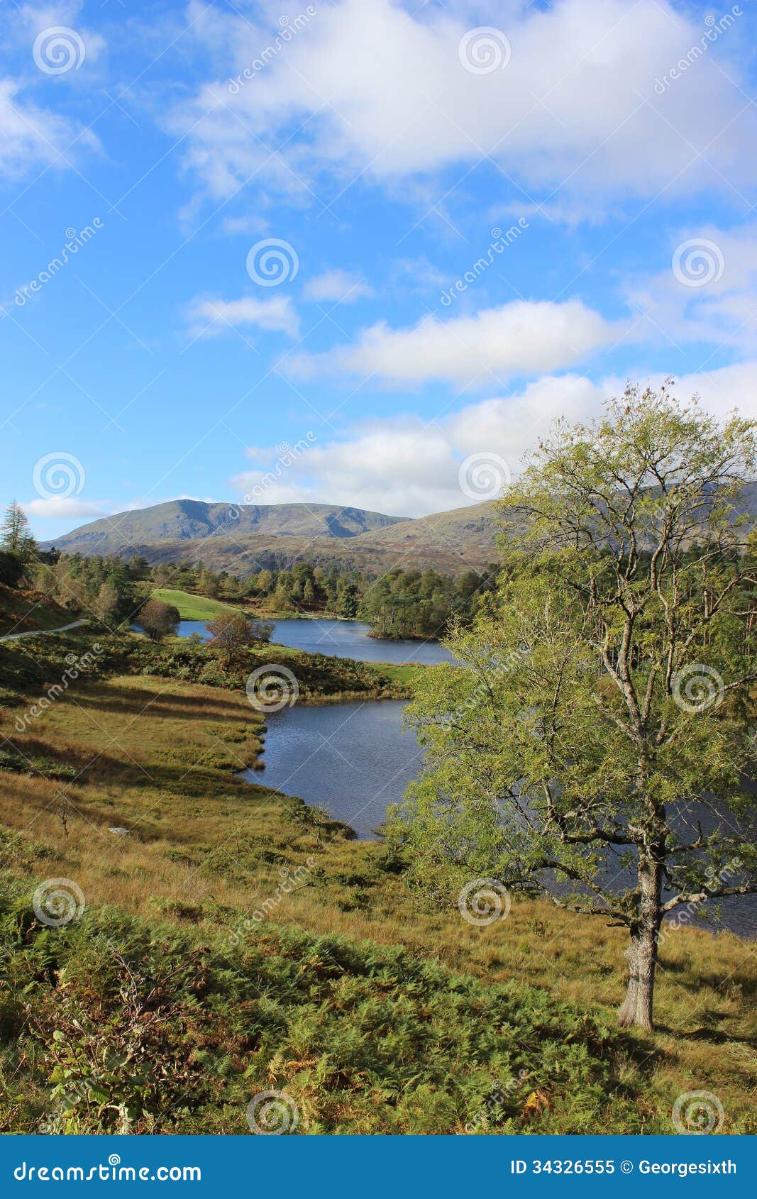 View of Tarn Hows in the English Lake District. Stock Image - Image of ...