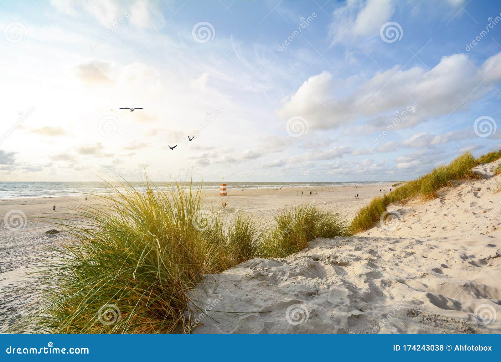view to beautiful landscape with beach and sand dunes near henne strand, north sea coast landscape jutland denmark
