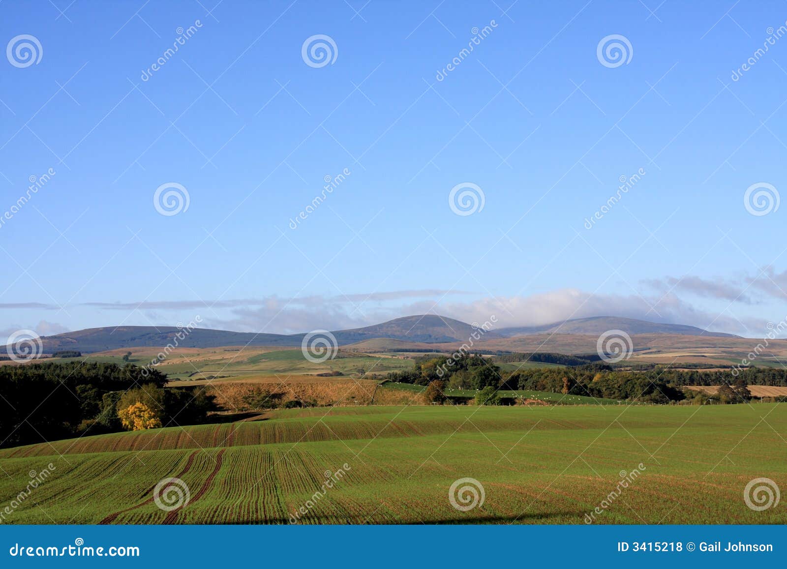 View to the Cheviot Hills stock photo. Image of valley 3415218
