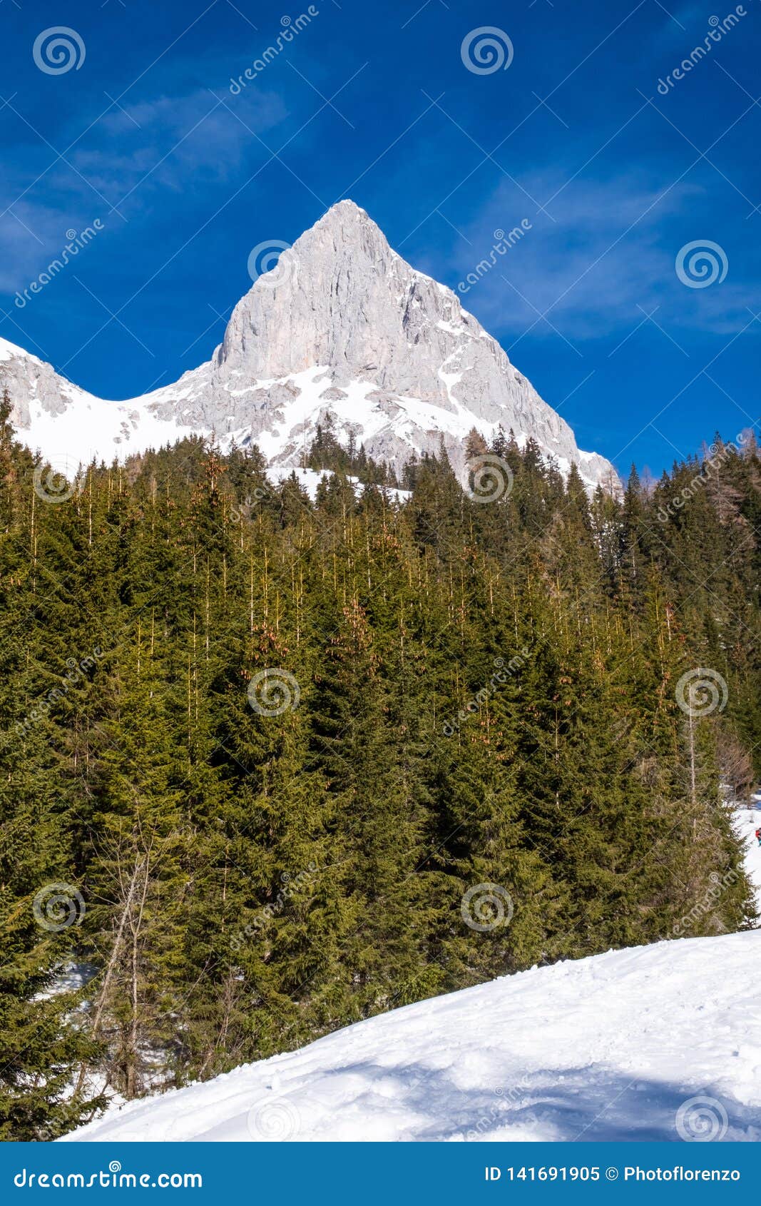 view to forest on plateau kaiserau to mountain admonter kalbling