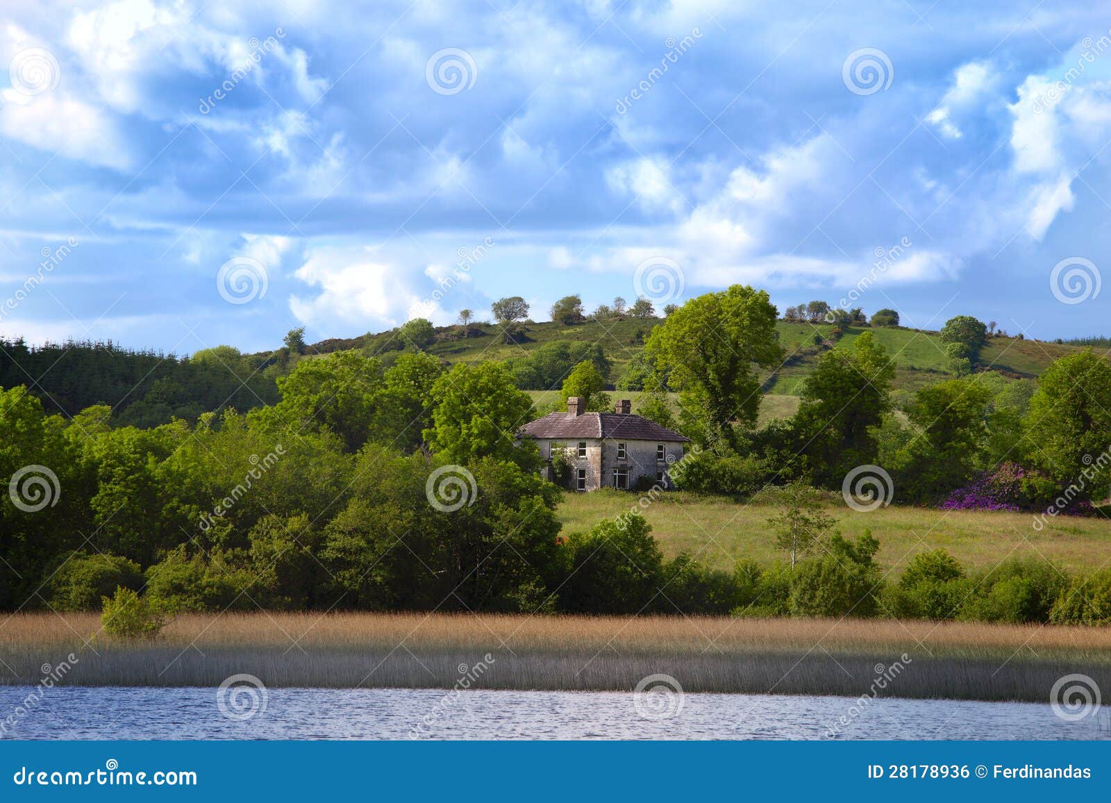 View To Irish House on River Shannon Stock Photo Image of view, grass