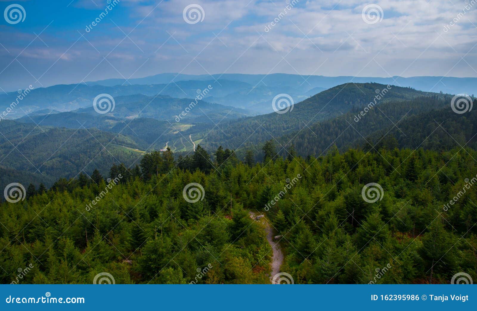 Landscape in the Black Forest in Germany Stock Photo Image of forest