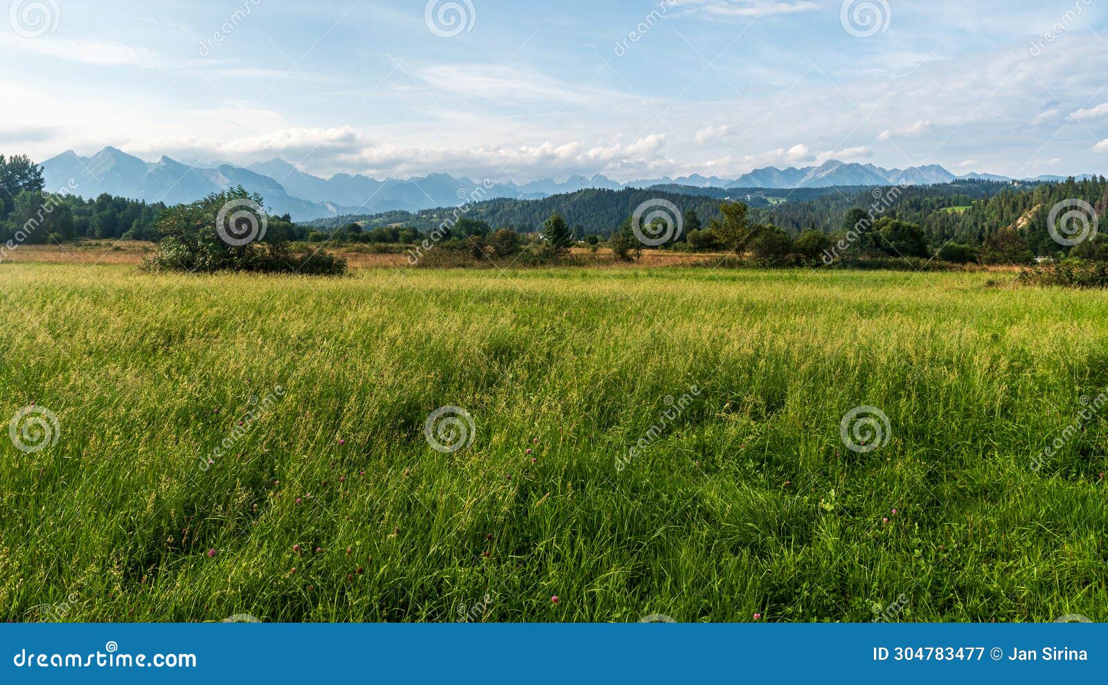 view to tatra mountains from sarnowska grapa hill aboeve jurgow village in poland