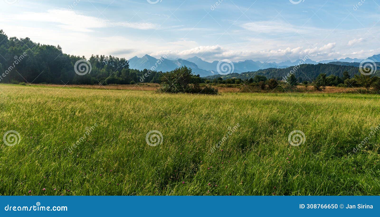 view to tatra mountains from sarnowska grapa hill above jurgow village in poland