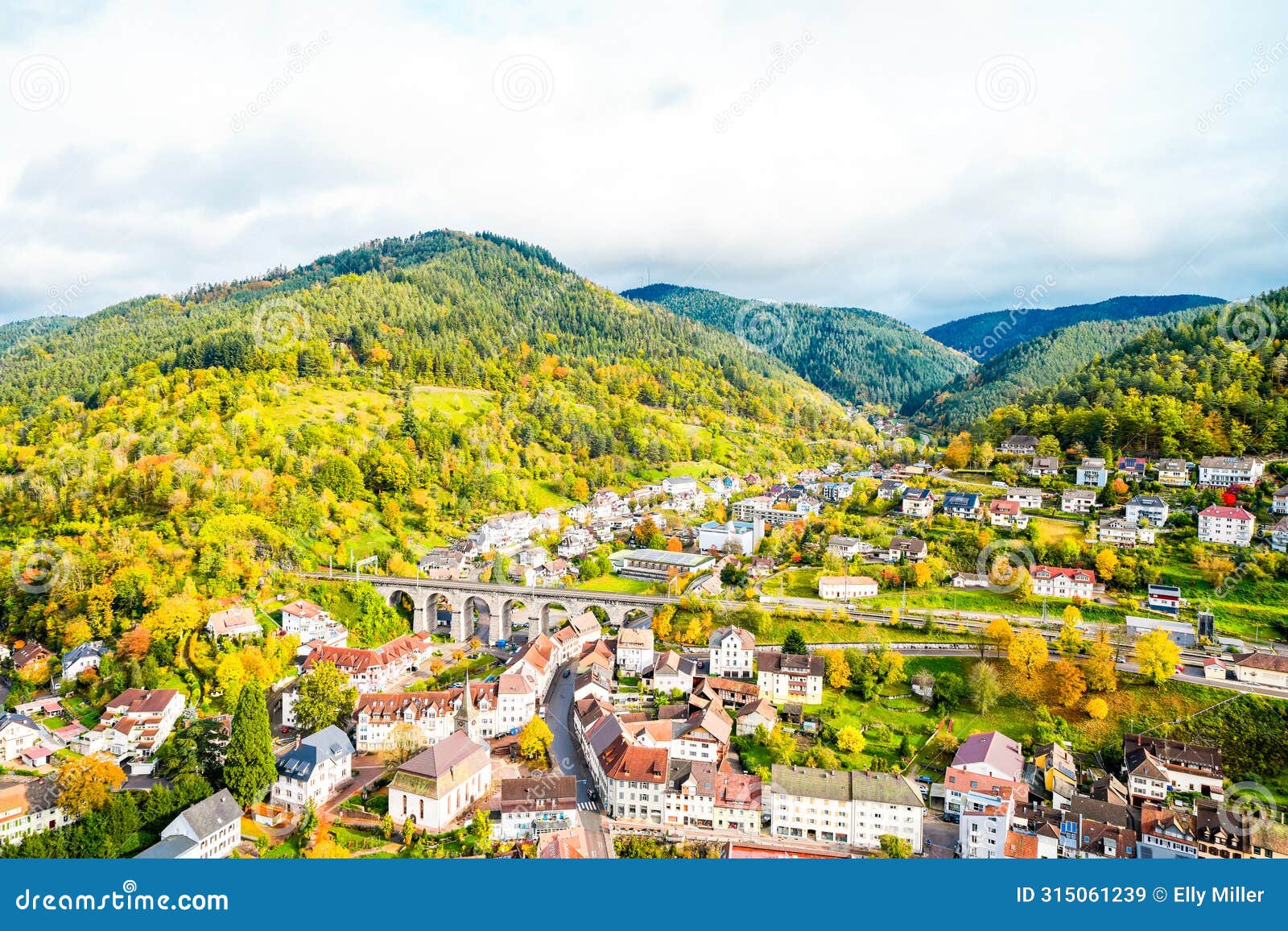 view of the town of hornberg in the black forest. city in baden-wÃ¼rttemberg