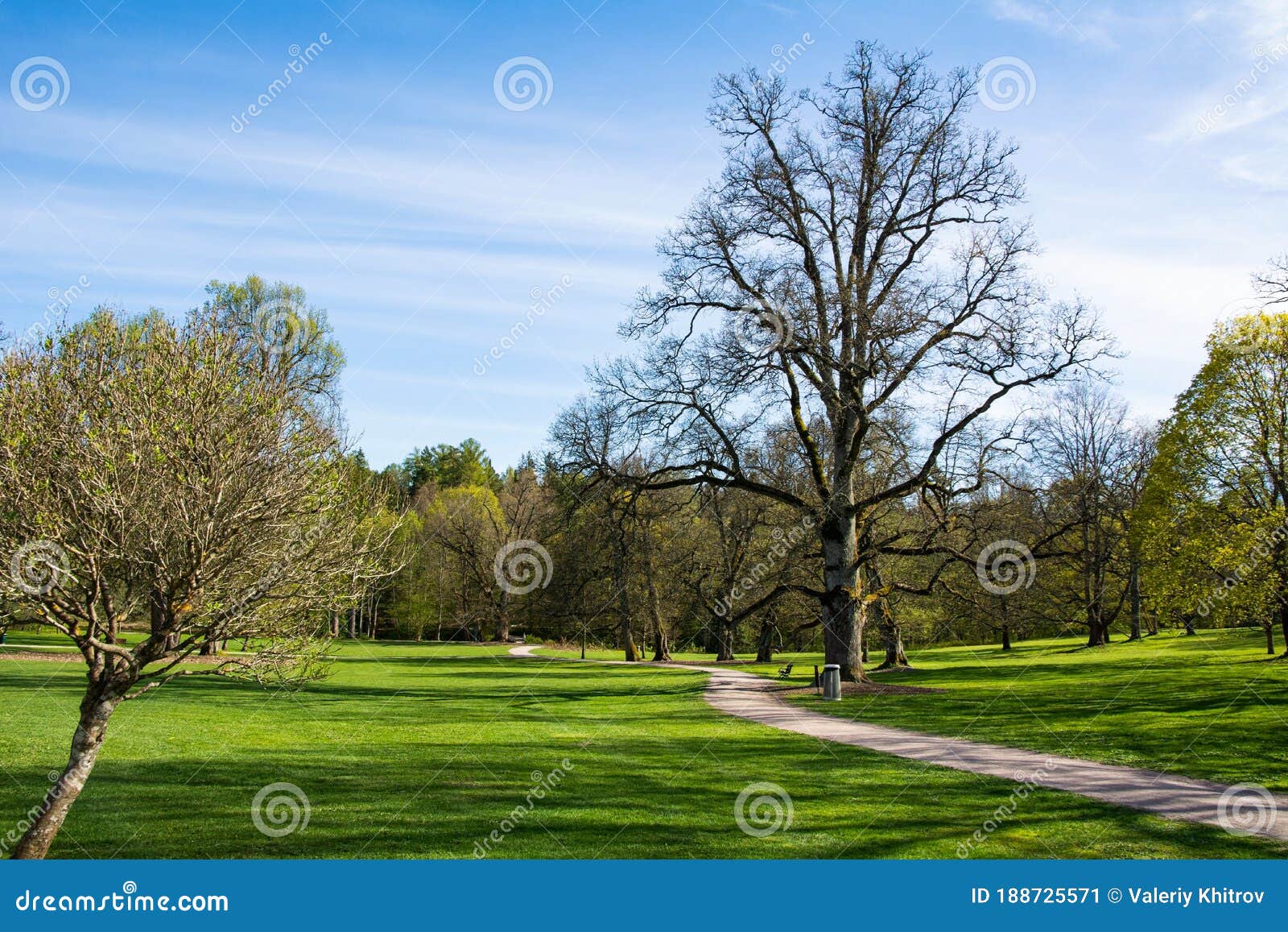 view of traskanda manor aurora park in spring