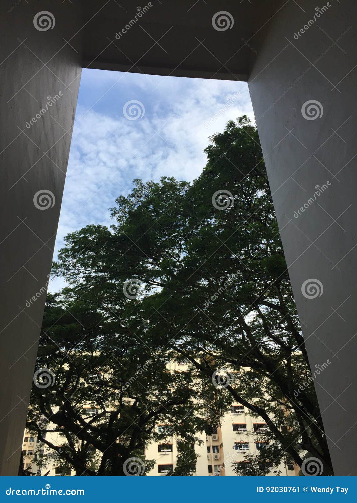 View of Tree and Sky from a HDB Housing in Singapore Stock Image