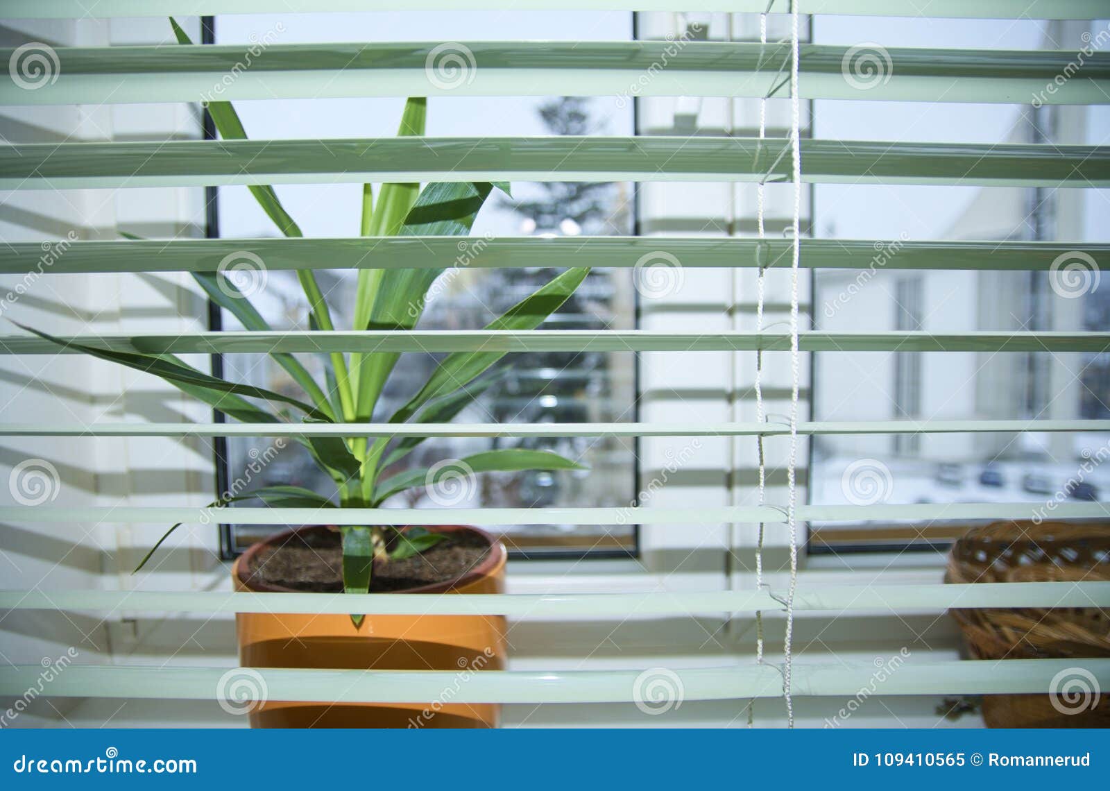 view trough venetian blind . view through jalousie outwards