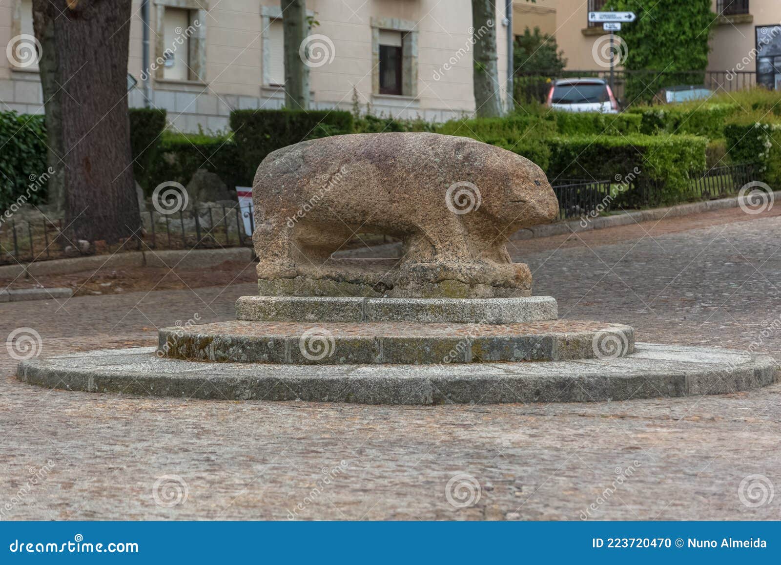 view at the the vettones`s granite megalithic sculpture of a pig, inside cuidad rodrigo fortress downtown