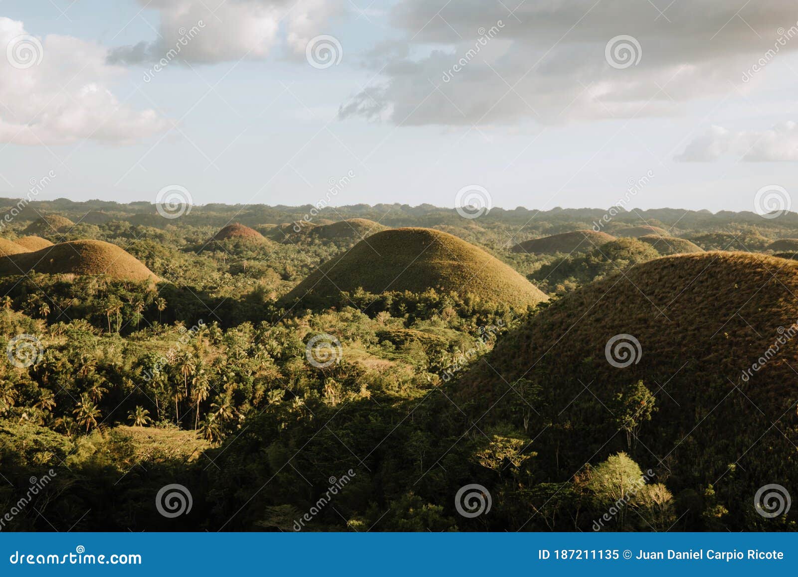 View from the Viewpoint of the Chocolate Hills on a Sunny Afternoon