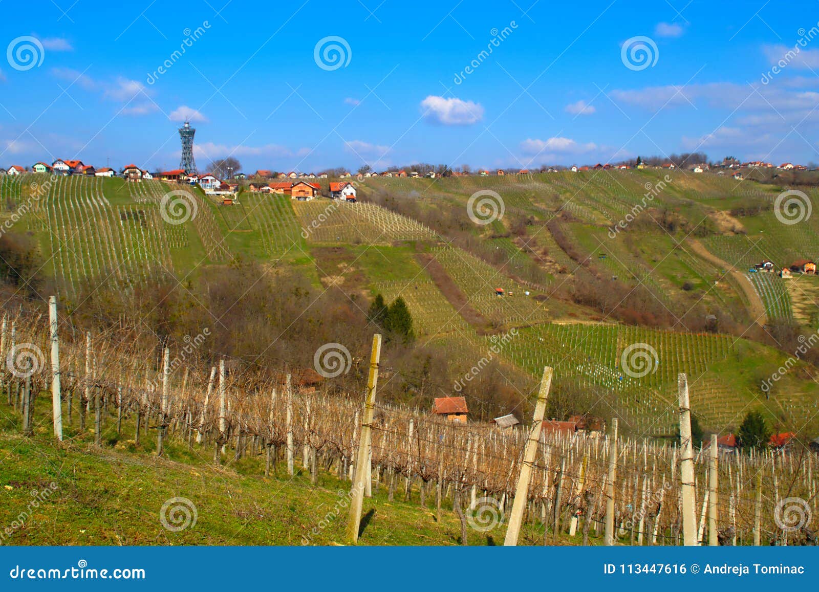 lendavske gorice in spring