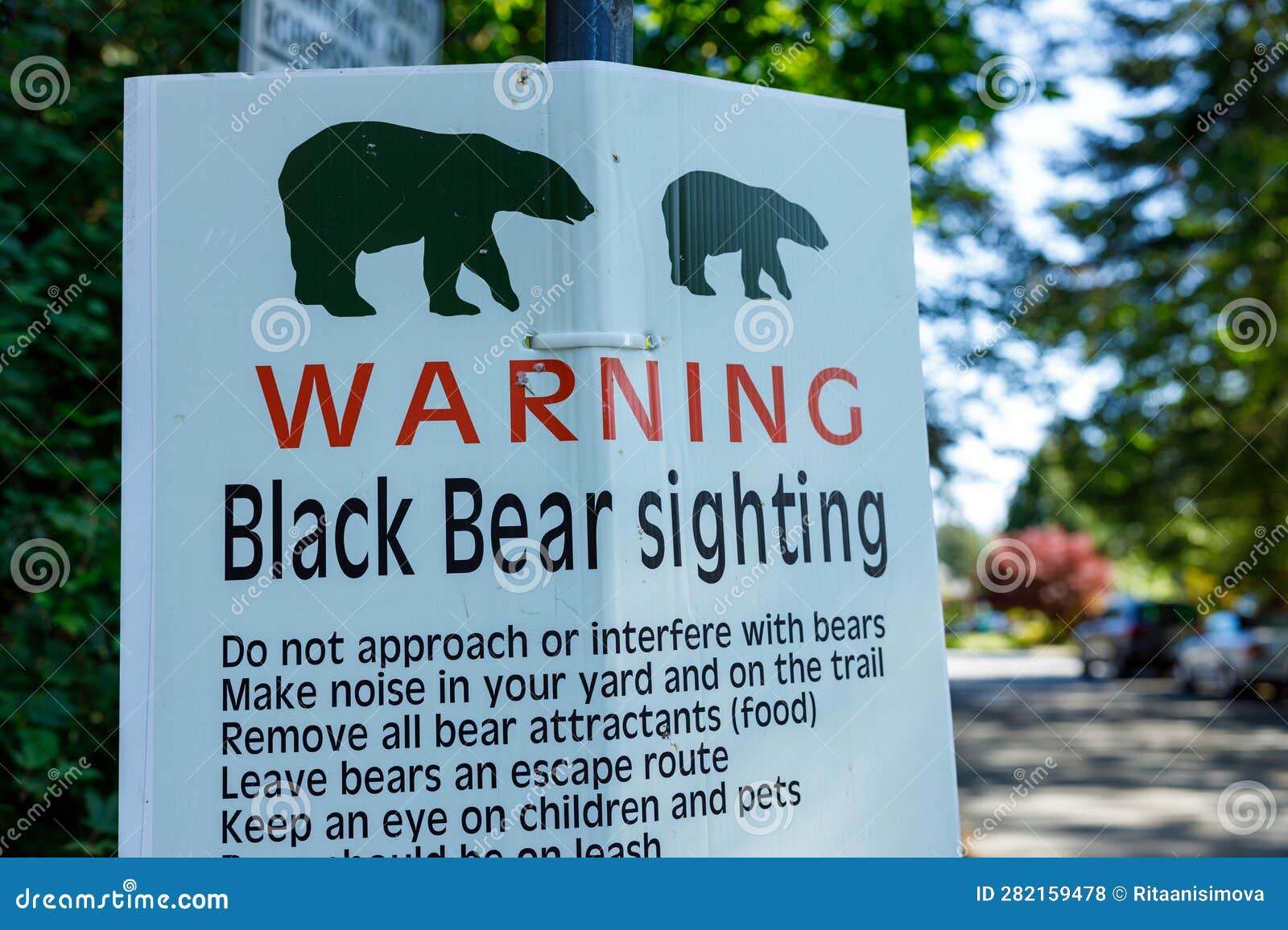 View of Warning Sign Black Bear Sighting Stock Photo Image of animal