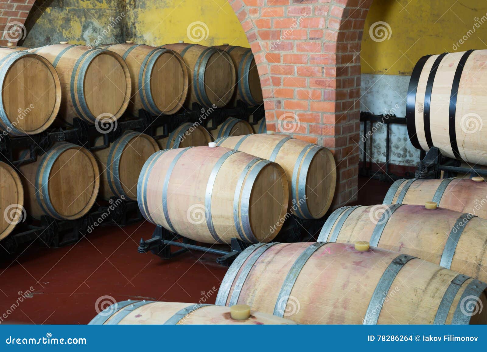 View on Winery Cellar with Wine Woods Stock Photo Image of cask, factory 78286264
