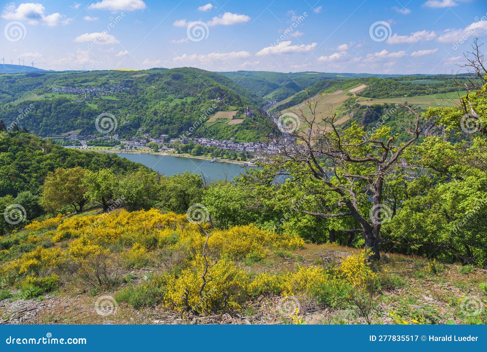 hike on the wisper trail