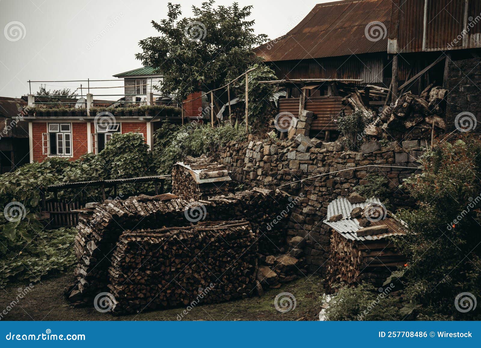 View of Wood Piles in the Backyard of a Rustic House in a Village Stock