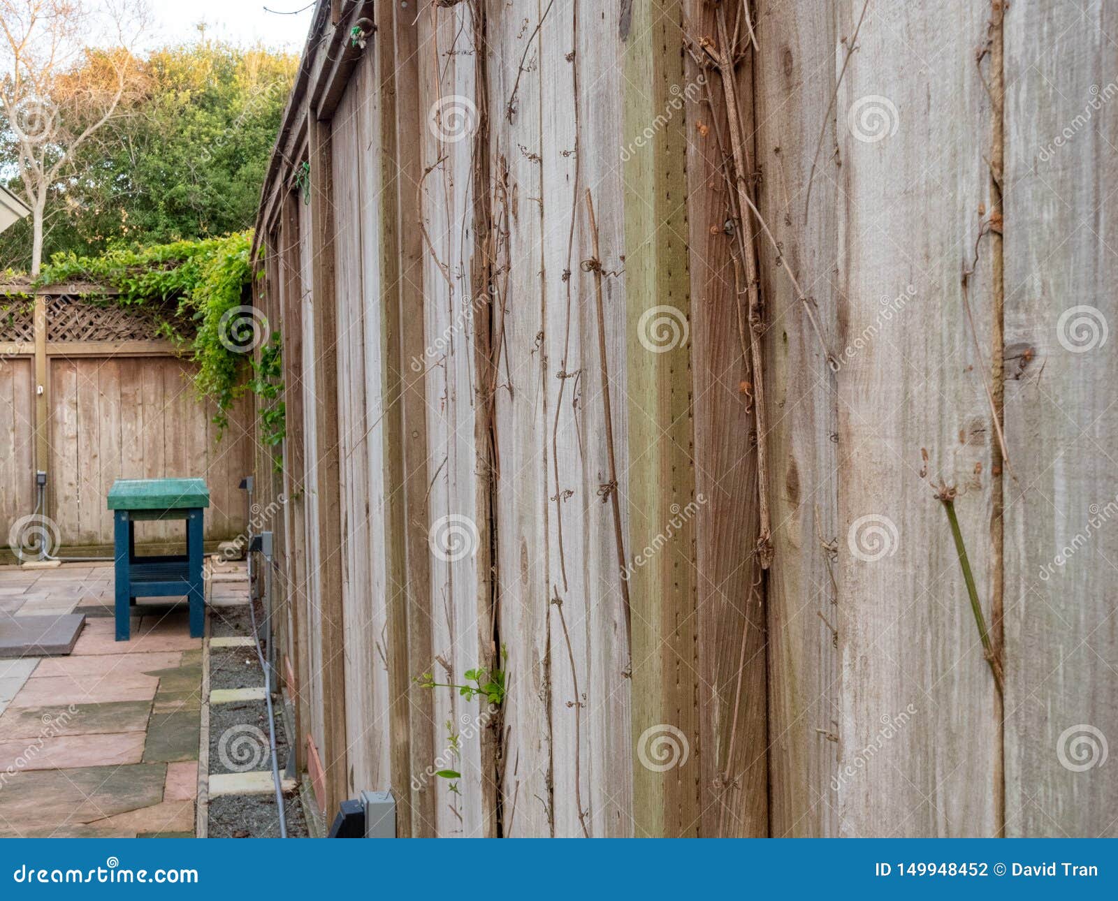 View Of Wooden Fence In Backyard With Enclosed Gardening ...