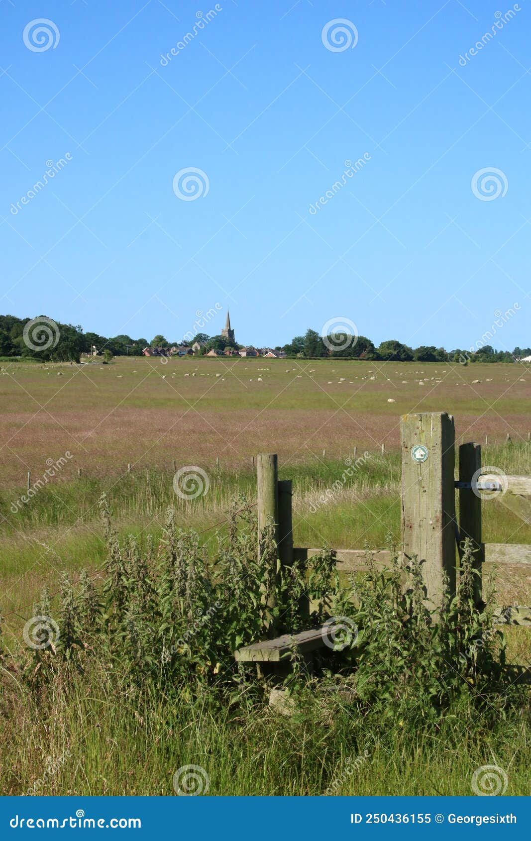 overgrown wooden stile and countryside scene