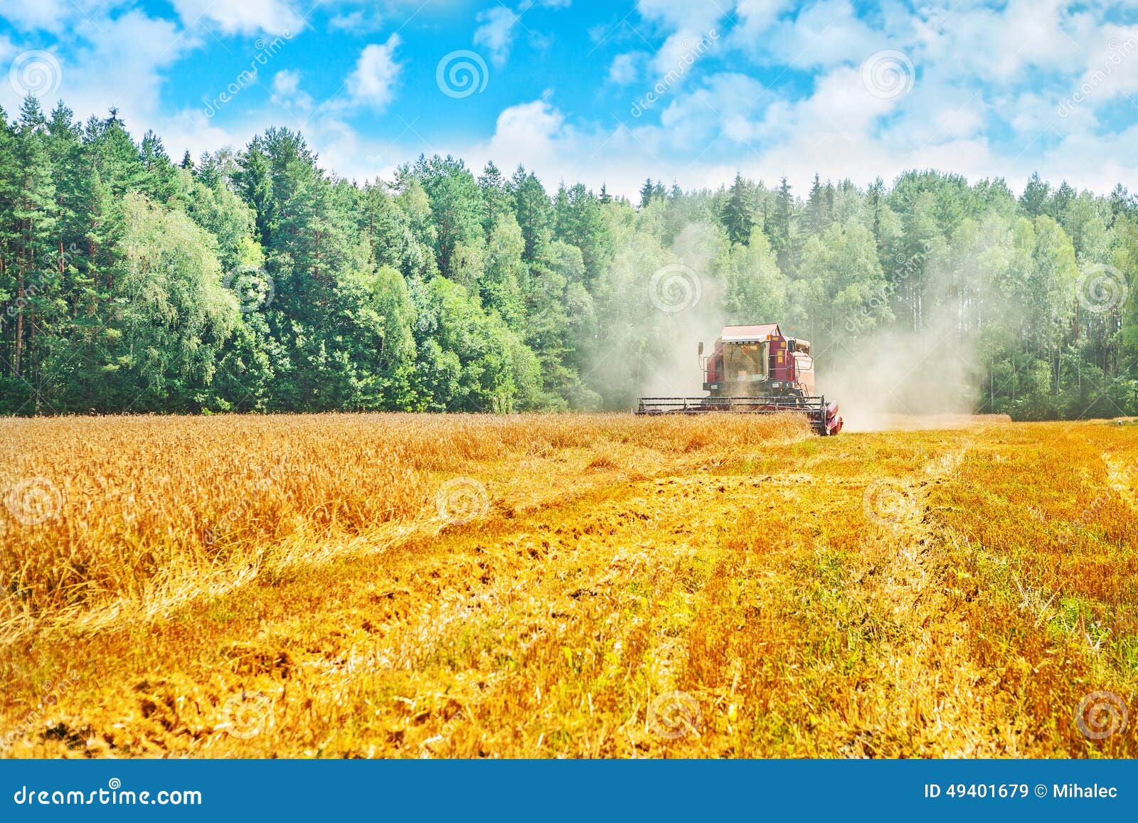 View on Work of Combine Harvester Wheat Field in Stock Image Image of