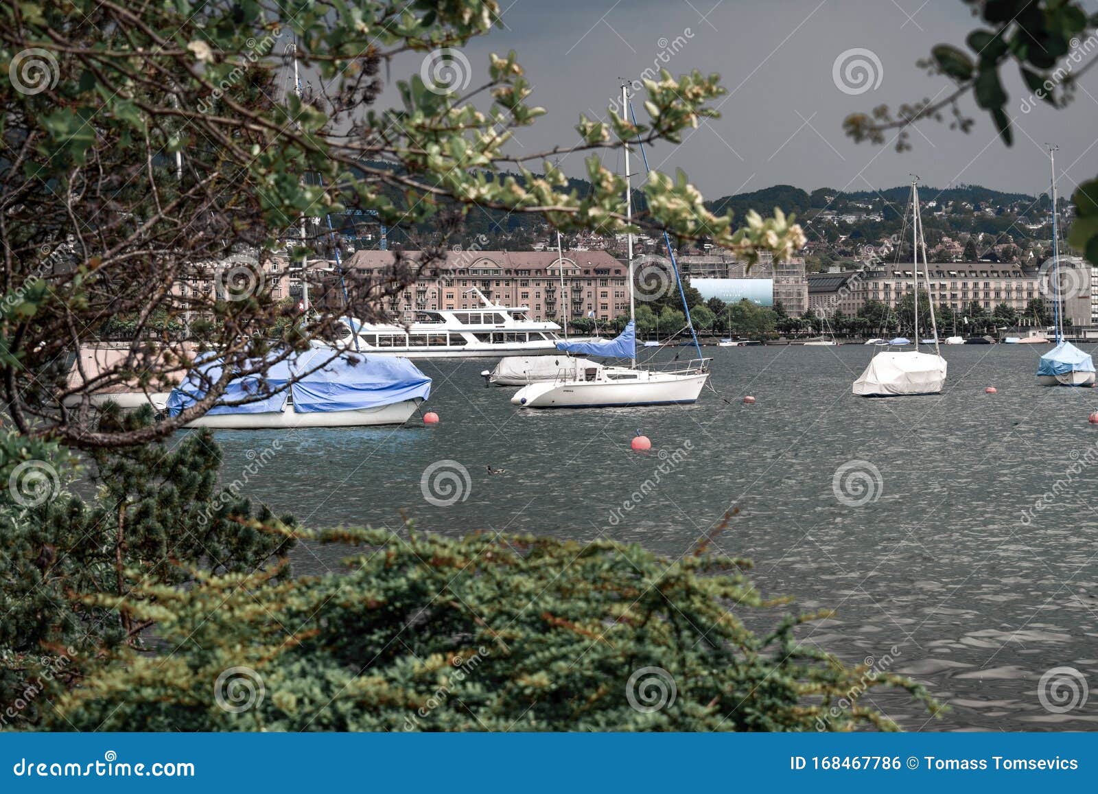 yacht clubs in zurich