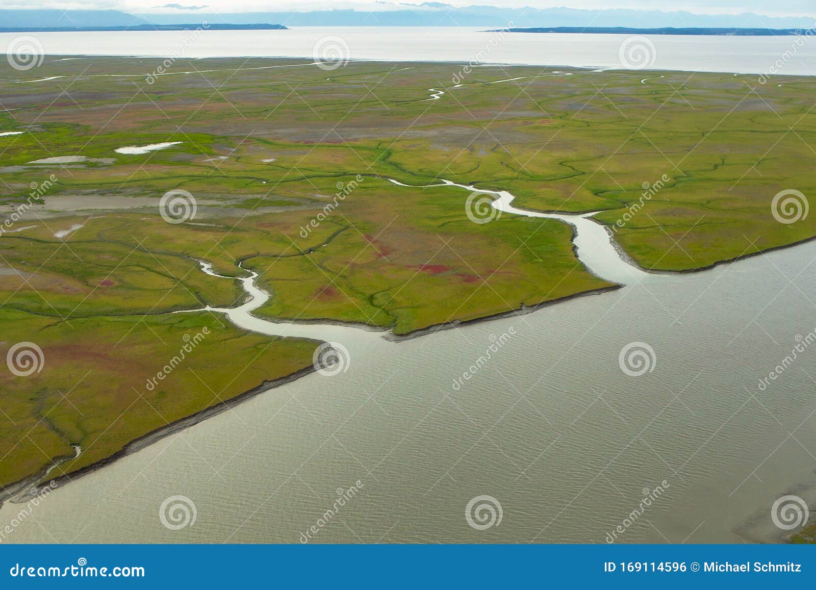 rivers and inlets cut through the green and red tundra as they flow to the ocean in alaska.