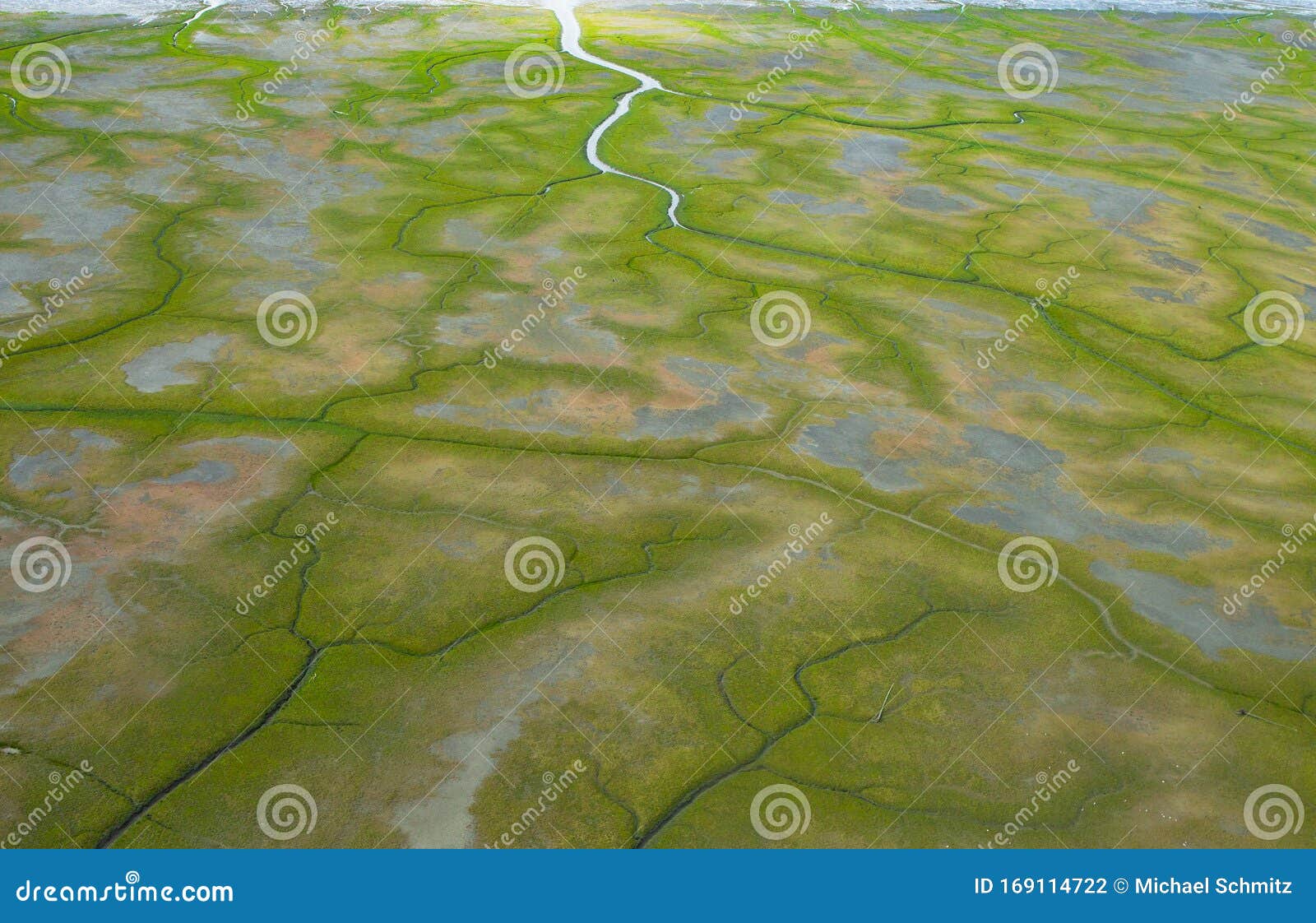 rivers and inlets cut through the green barren tundra in alaska.